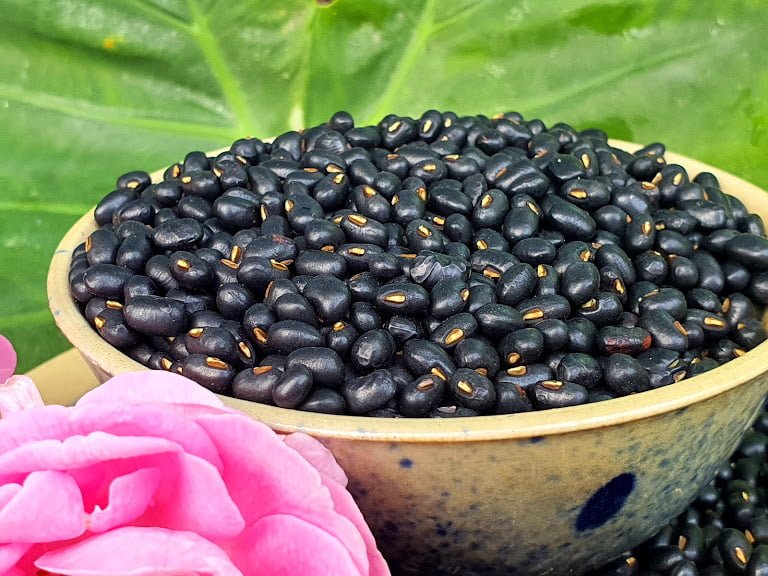 Đậu đen xanh lòng - một trong 5 loại hạt có hàm lượng dinh dưỡng cao
