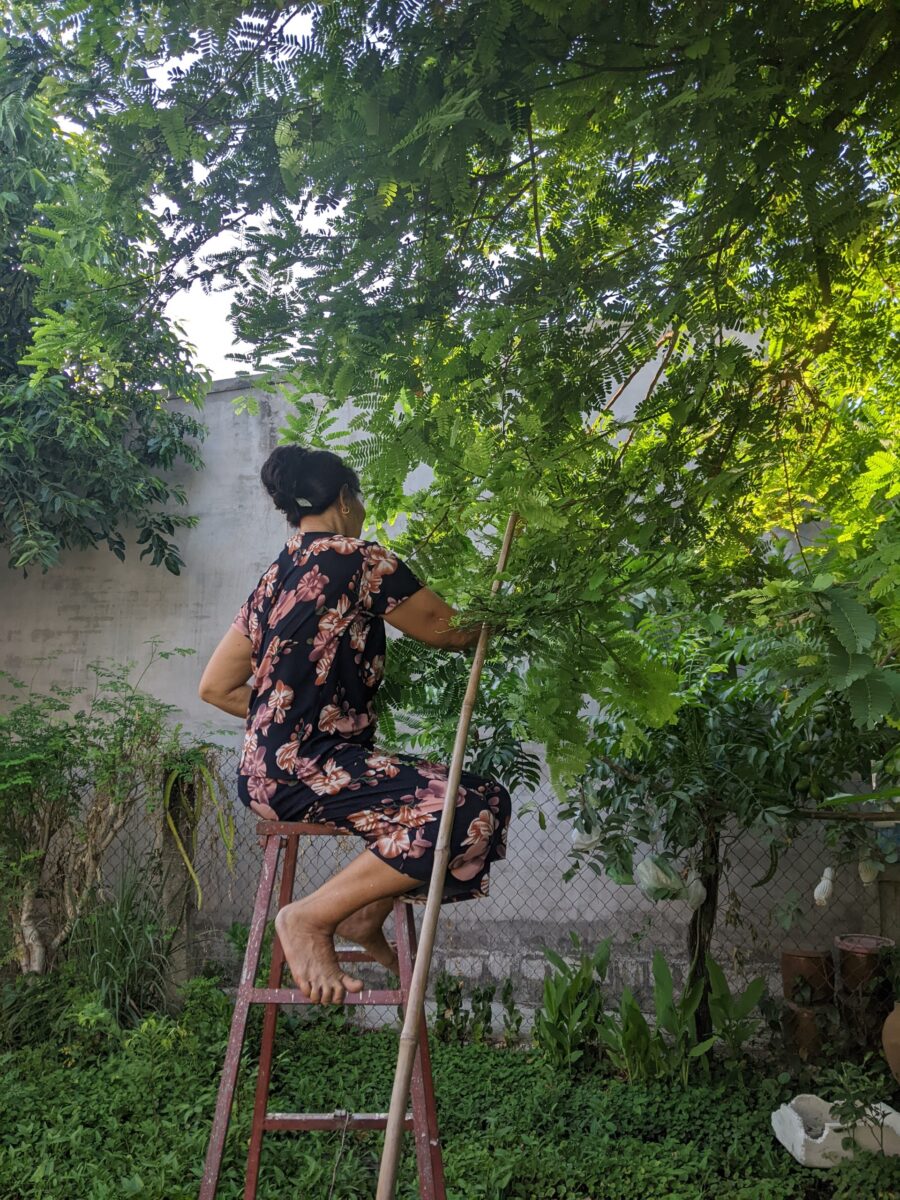 chuyện nghề