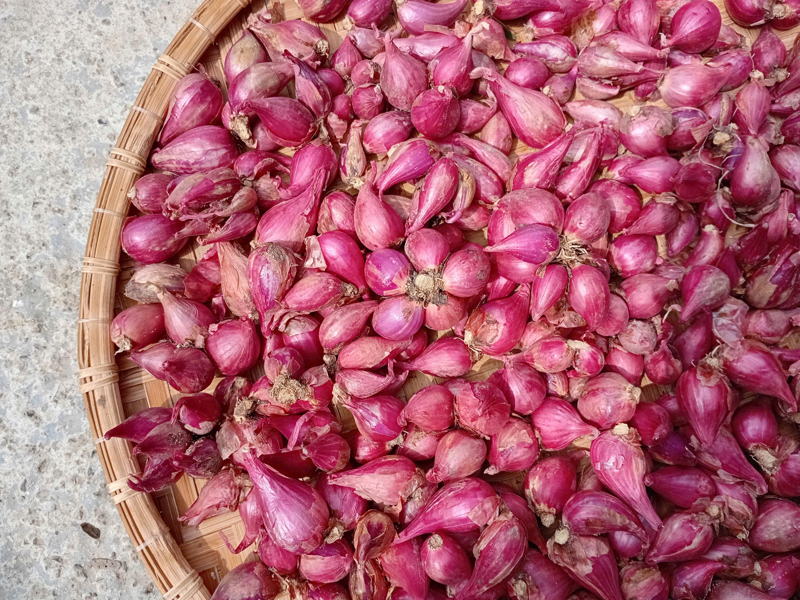 NGUYÊN LIỆU KHÔ