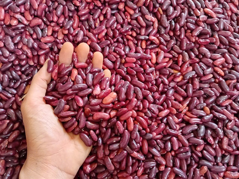 Đậu lùn ÔNG THẮNG – 500g