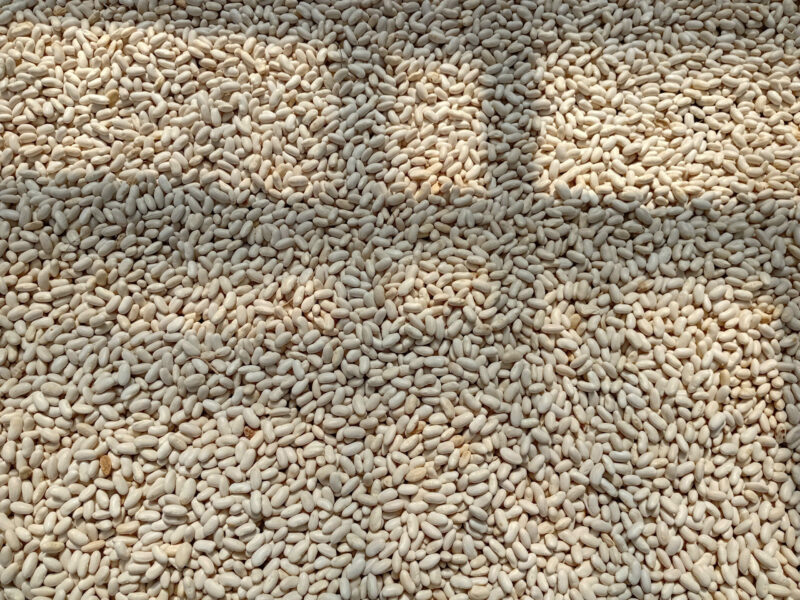 Đậu lùn ÔNG THẮNG - 500g