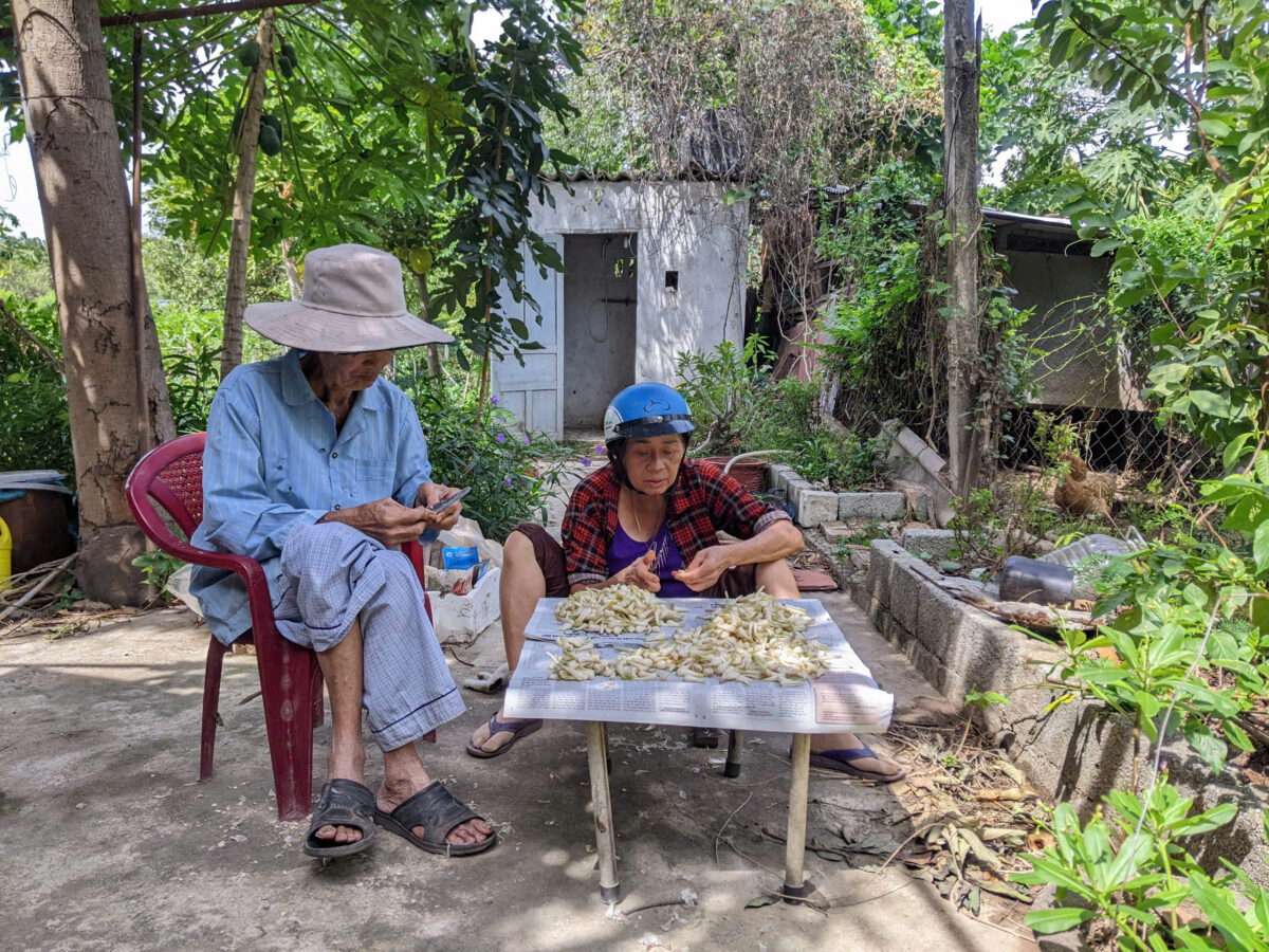 cha mẹ