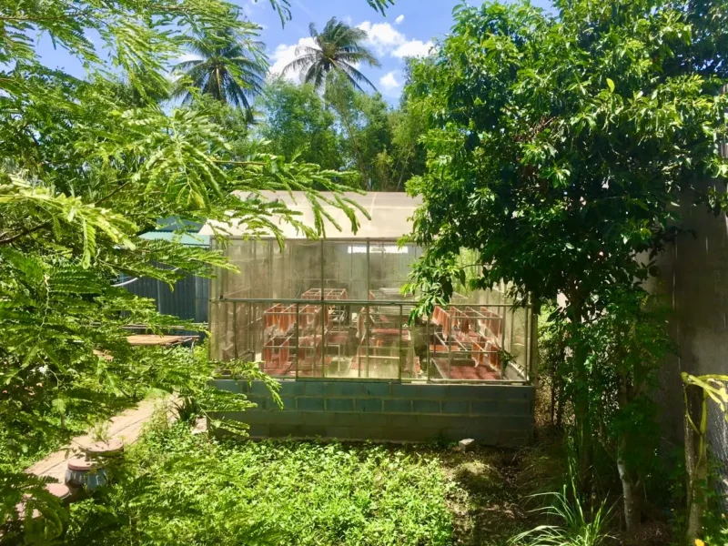 Người trẻ đưa nông sản quê ra phố
