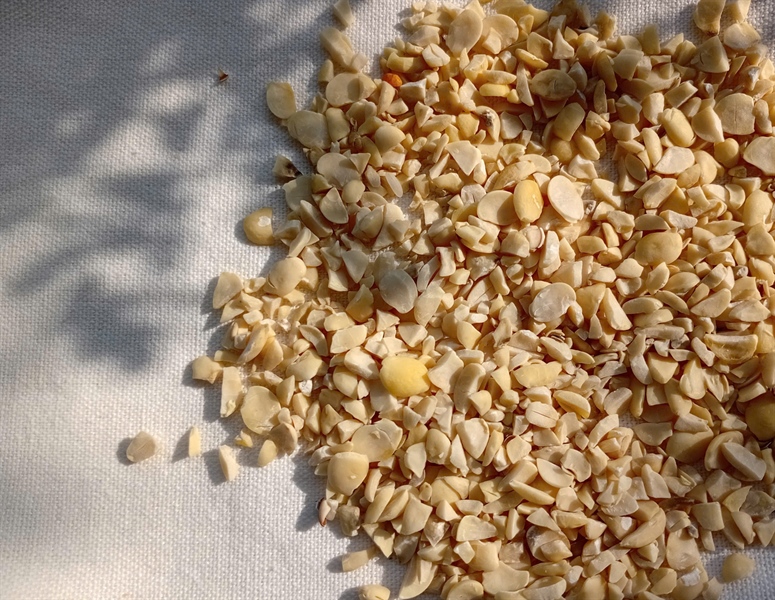 Hạt đậu ván ÔNG THẮNG 500g