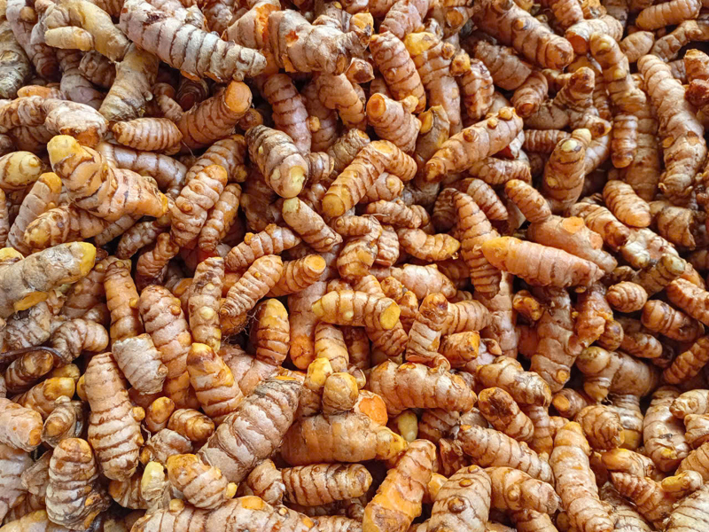 Nghệ lát khô ÔNG THẮNG – 200g
