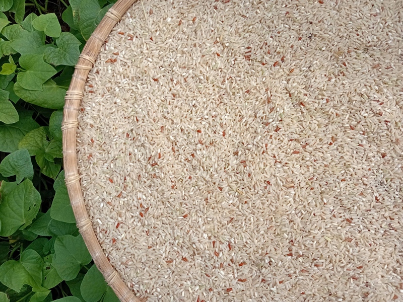 Gạo tẻ ÔNG THẮNG