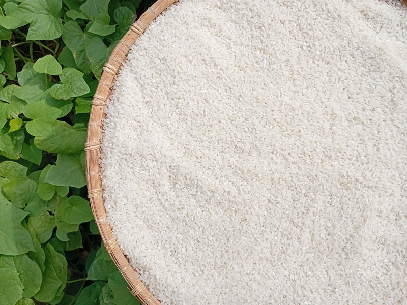 Gạo tẻ ÔNG THẮNG
