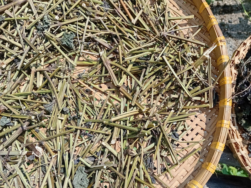 Tía tô khô ÔNG THẮNG – 100G