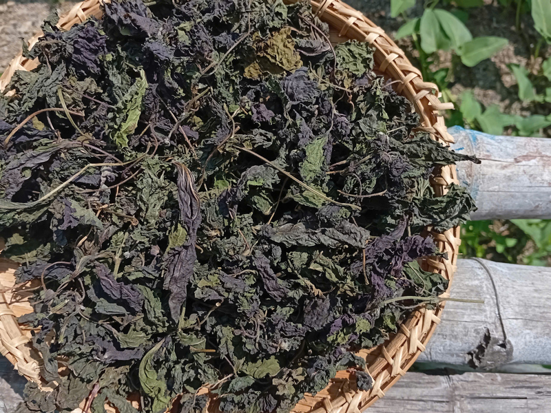 Tía tô khô ÔNG THẮNG – 100G