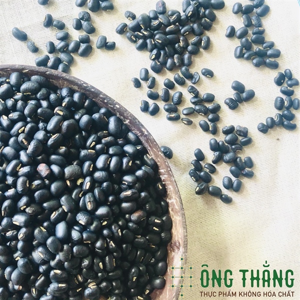 Hạt đậu đen xanh lòng ÔNG THẮNG – 500g