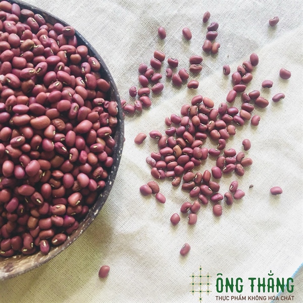 Hạt đậu đỏ ÔNG THẮNG – 500G