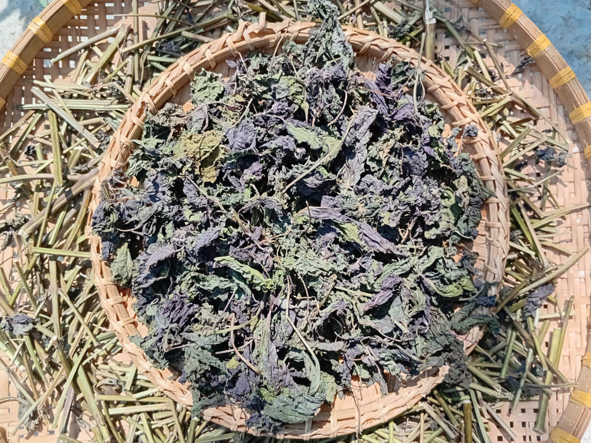 Tía tô khô ÔNG THẮNG - 100G