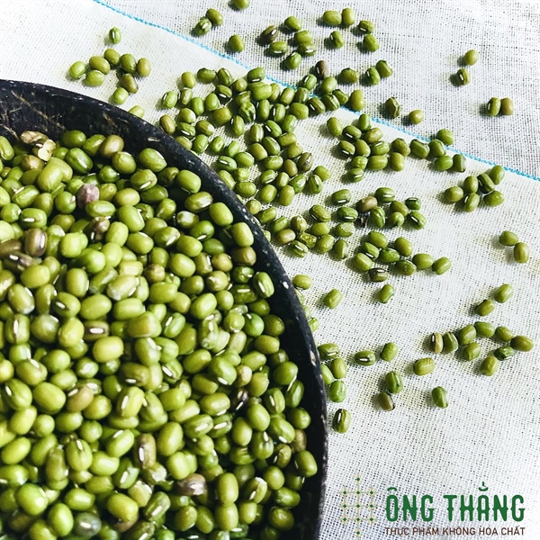Hạt đậu xanh ÔNG THẮNG - 500G
