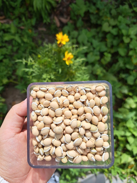 Đậu hạt ÔNG THẮNG – 300g