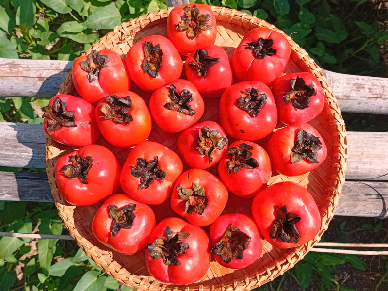 Hồng dẻo ÔNG THẮNG – 300G
